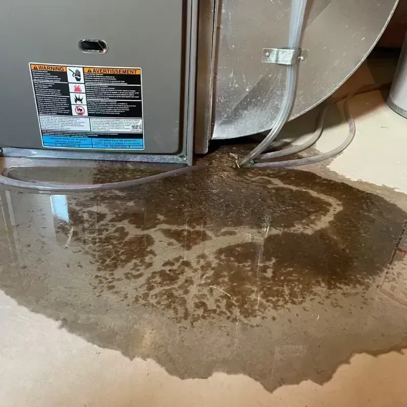 Appliance Leak Cleanup in Morgan County, MO